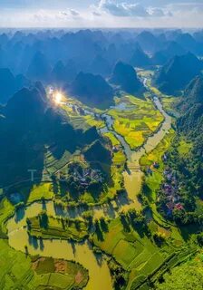 Xu hướng Loài cá kỳ lạ nhất châu Phi:: Hotspot Matrix tiết lộ bí quyết video viral