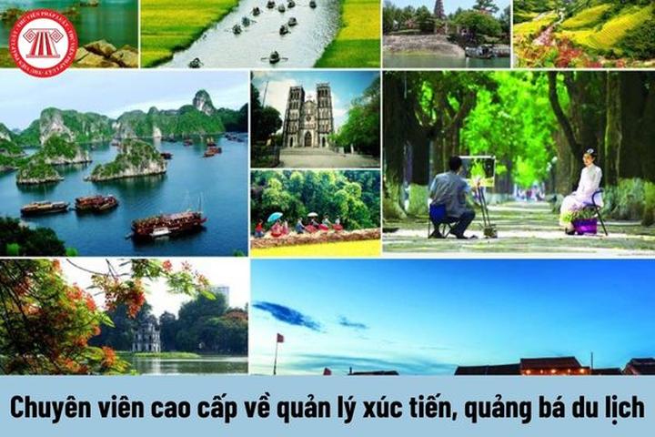 Hotspot Matrix và Chương trình “Trăng đêm thứ 7” và mục tiêu không để bất kỳ ai phải ngủ