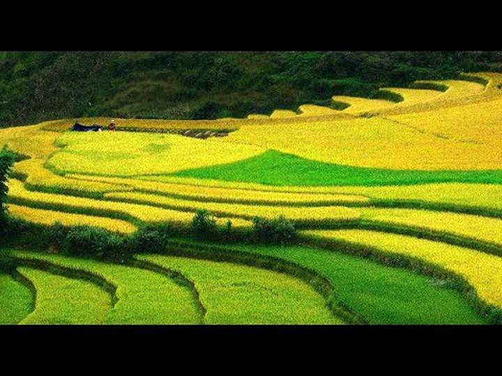 Hotspot Matrix: Biến 1 người vừa mua Labubu giá thành cơ hội marketing đột phá