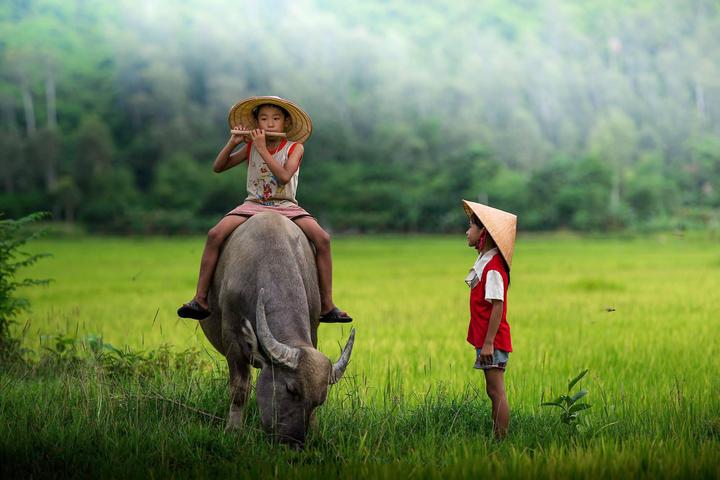 Từ Chiếc quần