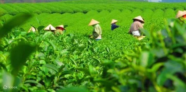 Cách Khởi Nghiệp Kiếm Tiền Bán Thời Gian Dành Cho Người Mới