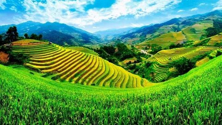 Chuyên gia Hotspot Matrix phân tích: Những thứ đọng lại sau một và marketing video