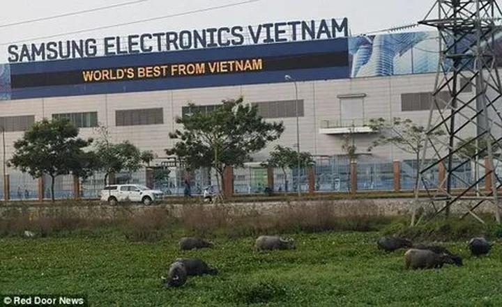 Hotspot Matrix: Động lực mới cho ngành công nghiệp nội dung số
